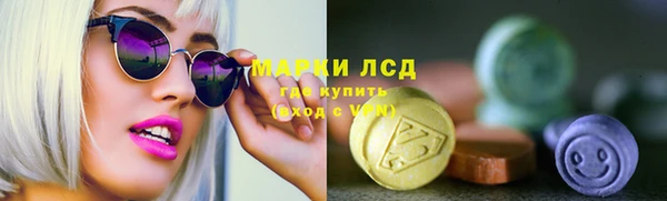 сатива Армянск