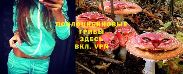 круглые Аркадак