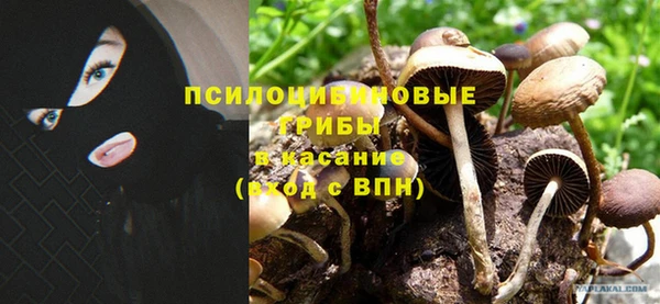 а пвп мука Арсеньев