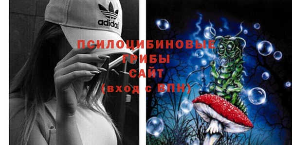 сатива Армянск