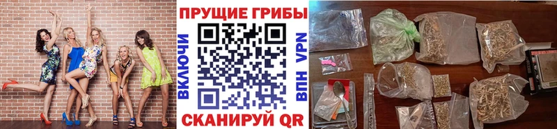 магазин  наркотиков  Талица  Псилоцибиновые грибы GOLDEN TEACHER 